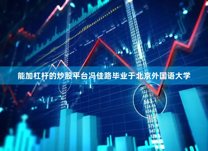 能加杠杆的炒股平台冯佳路毕业于北京外国语大学