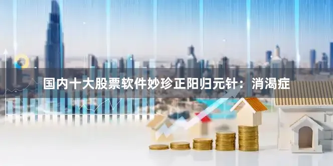 国内十大股票软件妙珍正阳归元针：消渴症