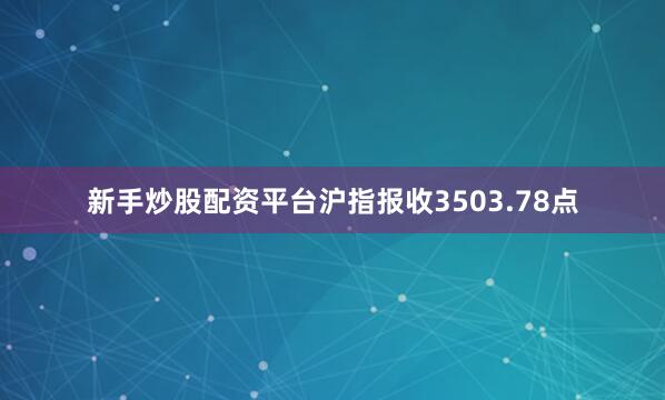 新手炒股配资平台沪指报收3503.78点