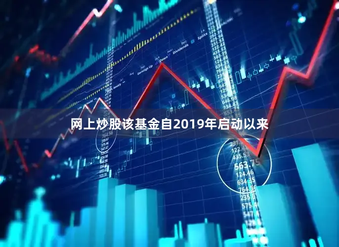网上炒股该基金自2019年启动以来