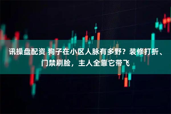 讯操盘配资 狗子在小区人脉有多野？装修打折、门禁刷脸，主人全靠它带飞